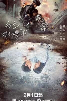 《《白色橄榄树》电视剧完整版免费观看》2025 海报