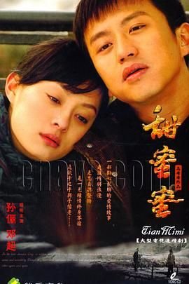 《《甜蜜蜜》电视剧国语全集完整版观看在线免费高清》2007 海报