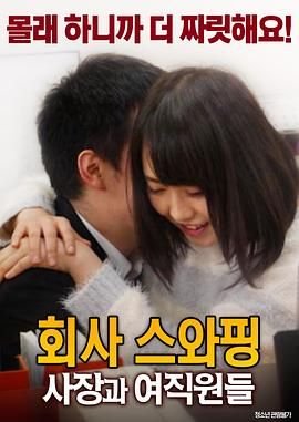 《《公司交换：老板与女职员》HD中字完整版_高清视频免费在线观看全集完结 😉》2017 海报