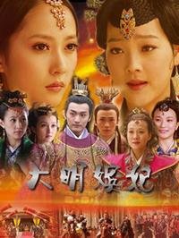 《大明嫔妃电视剧免费播放手机观看 🧐》2010 海报