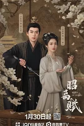 昭离赋电视剧免费观看全集完整版 (2025) 海报