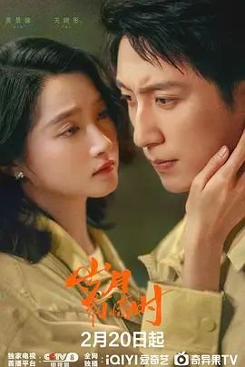 岁月有情时电视剧免费观看完整版 (2026) 海报