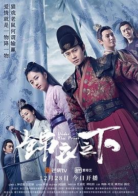 《锦衣之下》电视剧全集免费在线观看完整版免费播放 🌟 (2019) 海报