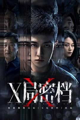 x局密档电视剧在线观看高清免费版全集 (2025) 海报