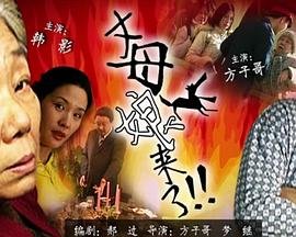 《电视剧《丈母娘来了》第01集在线观看》2002 海报