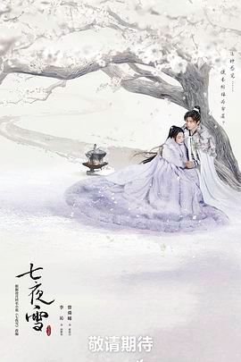 《七夜雪》第1集完整版免费在线观看_中国大陆剧 (2024) 海报