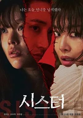 《姐妹第6集在线观看高清完整版在线》2026 海报