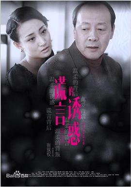 《《谎言的诱惑》电视剧国语全集完整版高清在线免费观看》2015 海报