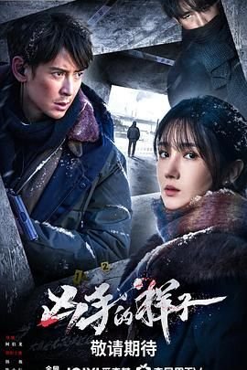 凶手的样子电视剧全集免费观看完整版毛小明扮演者 (2025) 海报