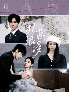 《私藏浪漫》电视剧免费观看全集蓝光无删减版原声 (2025) 海报